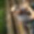 Profilbild von Peter Hahn