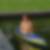 Profilbild von Christine Born