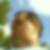 Profilbild von Christian Rotter