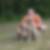 Profilbild von Denny Donath