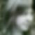 Profilbild von Sabine Hoppe