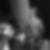 Profilbild von Victor Heinrich