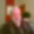 Profilbild von Michael Frey