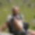 Profilbild von Thomas Wortmann