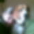 Profilbild von Sissy Heistermann