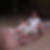Profilbild von Martina Mildner