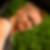 Profilbild von Oliver Kippels