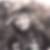Profilbild von Nick Akens