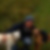 Profilbild von Birke Dockhorn