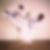 Profilbild von Stephan Mensing