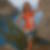 Profilbild von Evelyn Meyer