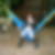 Profilbild von Anke Gallas
