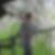 Profilbild von Susan Scholz