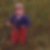 Profilbild von Gerd Pfisterer