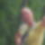 Profilbild von Jens Böttcher