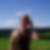 Profilbild von Katrin Ventzke