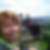 Profilbild von Rosemarie Cyrener