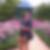 Profilbild von Dorothea Paulsen