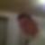 Profilbild von Marcel Zervoosen