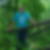 Profilbild von Michael Haase