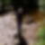 Profilbild von Ive Patzina