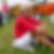Profilbild von Silvia Hosse