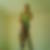 Profilbild von Michael Adler