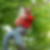 Profilbild von Ralf Hundertmark