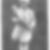 Profilbild von Amelie Frieda von Pieschel