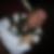 Profilbild von Ralf Brunke