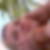 Profilbild von Saskia Hell