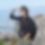 Profilbild von Kirsten Bermudez