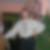 Profilbild von Marcel Thomas