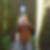 Profilbild von Andreas Albohm