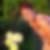 Profilbild von Birgit Becker