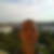 Profilbild von Marco Ruppelt