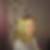 Profilbild von Nicole Stolte