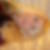Profilbild von Birgit Lichter