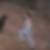 Profilbild von Dagmar Pollock