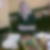 Profilbild von Birte Claus