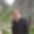 Profilbild von Julian Hertling