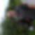 Profilbild von Andreas Nyskens