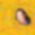 Profilbild von Sandra Steffens