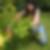 Profilbild von Kathrin Freundt