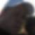 Profilbild von Sebastian Rother