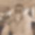 Profilbild von Jost Freriks