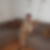 Profilbild von Kerstin Herz-Cordes