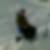 Profilbild von Stefan Birke