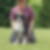 Profilbild von Gregor Abel