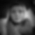 Profilbild von Madeleine Scholze